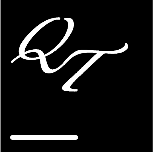 VIP Logo
